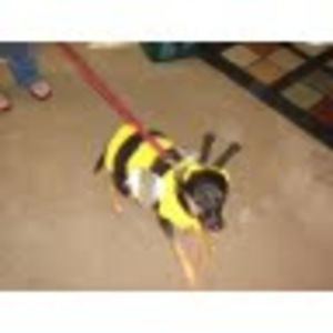 Meet your Posher, Nikki